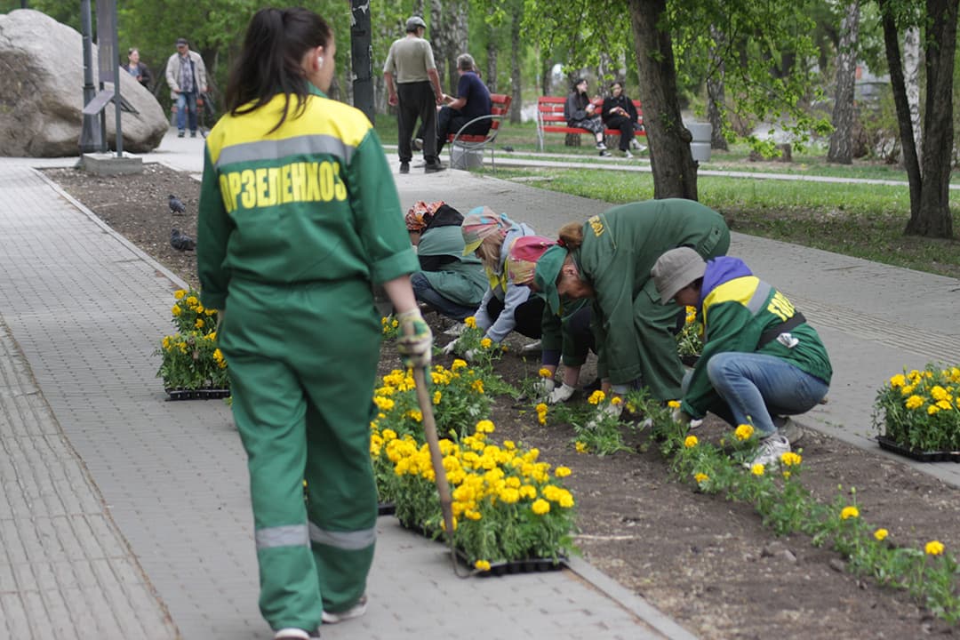 Улучшение экологии в городе: 5 ключевых направлений для здоровой среды - 3